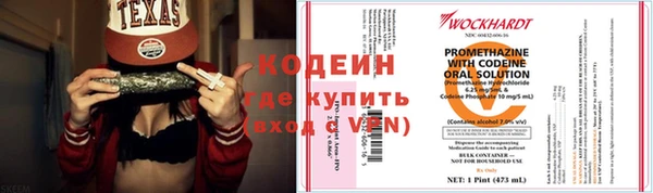 ГАЛЛЮЦИНОГЕННЫЕ ГРИБЫ Гусь-Хрустальный